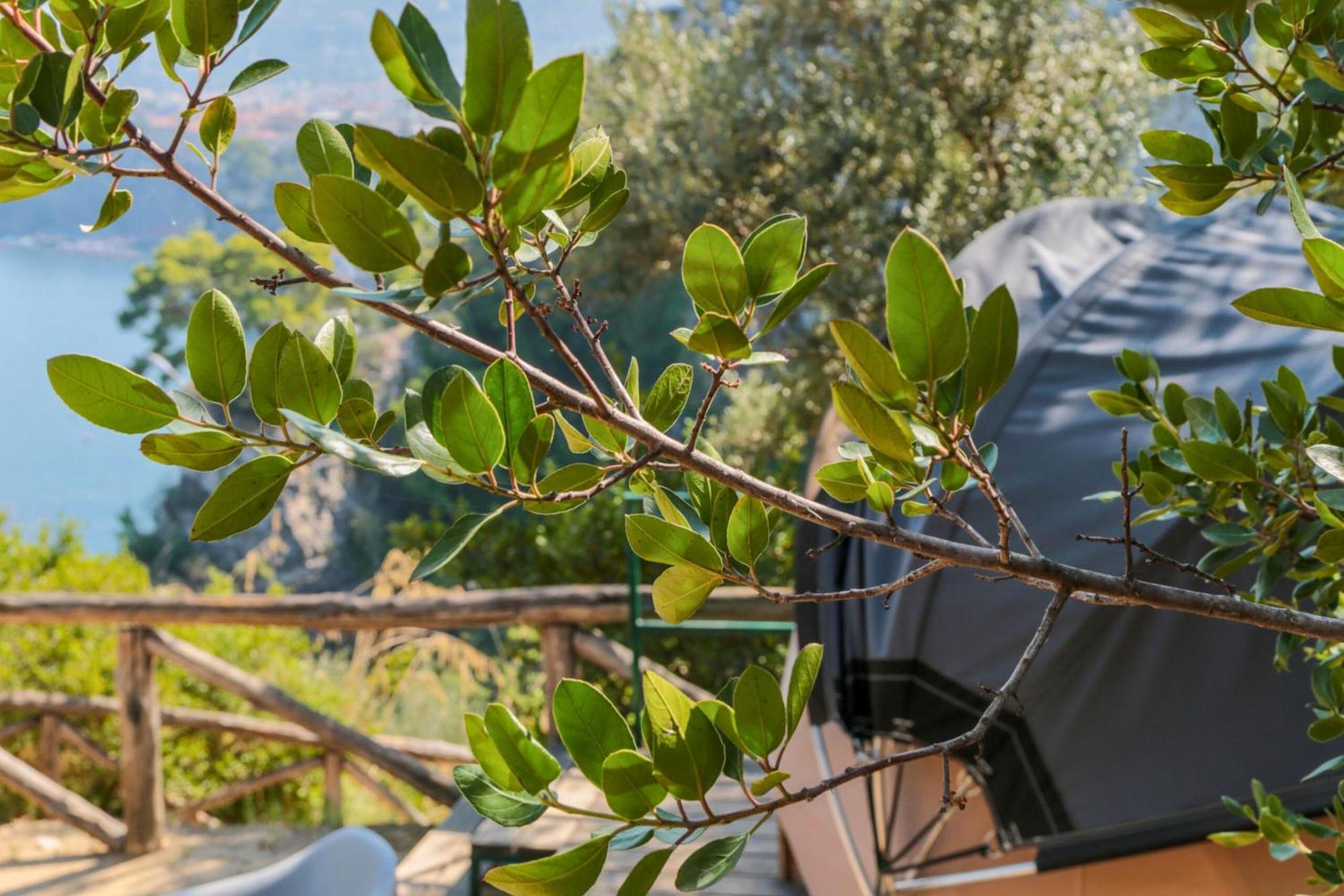 Hostel & Glamping Santa Fortunata Sorrento Ngoại thất bức ảnh